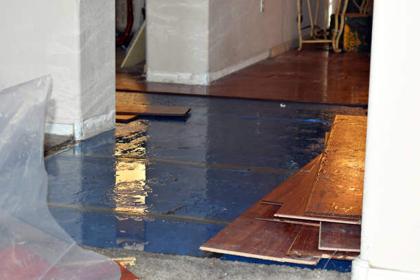 Professional Flood Cleanup technician working in Plymouth, NH